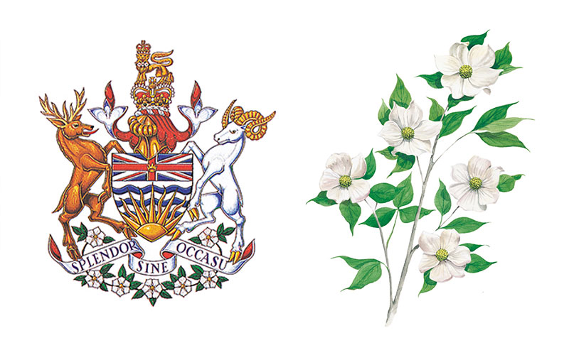 British Columbia floral symbol