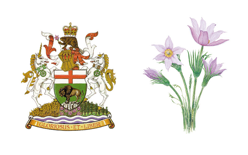 Manitoba floral symbol