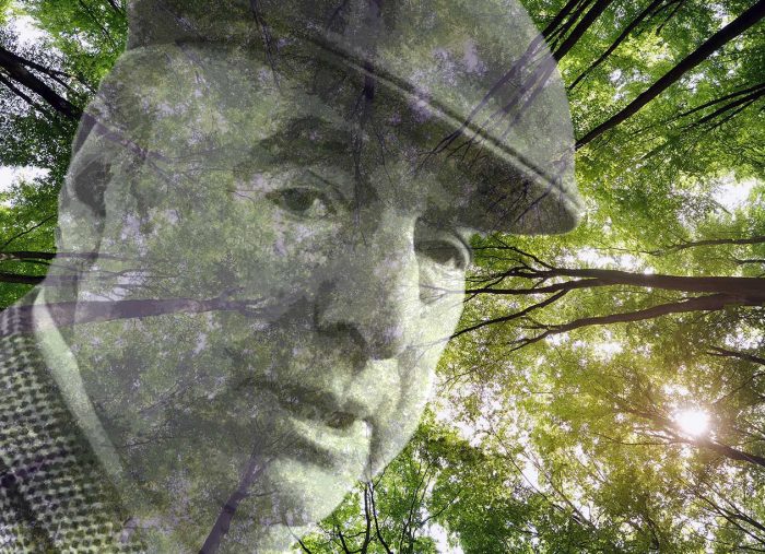 Pablo Neruda. The Chilean forest