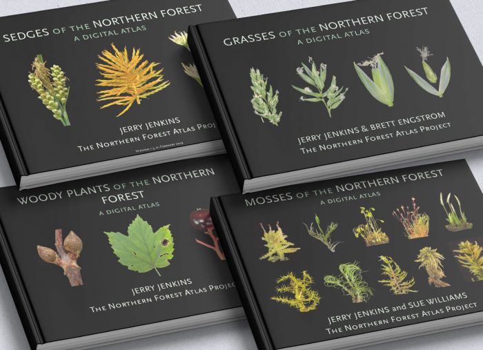 Northen Forest Atlas. A truly extraordinary project of great people